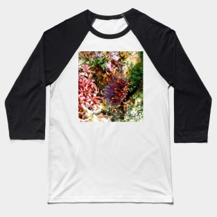 Orange Ball Corallimorph Anemone Baseball T-Shirt